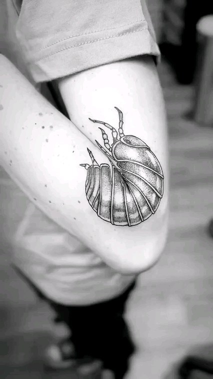 What do you call these lil bugs?? Amazing work from Jenn Golgan @saltyflamingotattoo from Equinox Art Collective @equinoxartcollective !
#Repost @saltyflaming